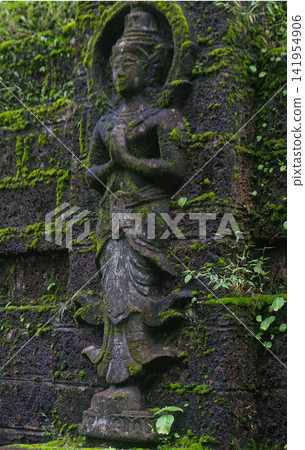 The faith shrouded in green at the Buddhist temple. The faith shrouded in green at the Buddhist temple. 141954906