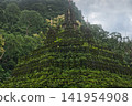 The faith shrouded in green at the Buddhist temple. 141954908