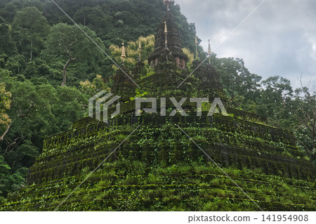 The faith shrouded in green at the Buddhist temple. The faith shrouded in green at the Buddhist temple. 141954908