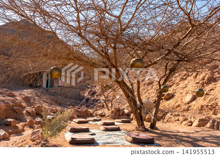 A serene yoga and meditation space under a large, bare tree in a desert setting. Cushions are arranged on the ground, surrounded by rocky terrain. A serene yoga and meditation space under a large, bare tree in a desert setting. Cushions are arranged on the ground, surrounded by rocky terrain. 141955513