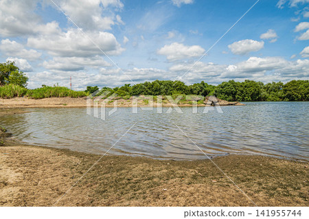 大阪府枚方市淀川沿岸的夏日景色 大阪府枚方市淀川沿岸的夏日景色 141955744