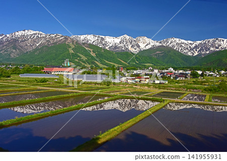 Hakuba in May: The Northern Alps shining in the countryside in the morning Hakuba in May: The Northern Alps shining in the countryside in the morning 141955931