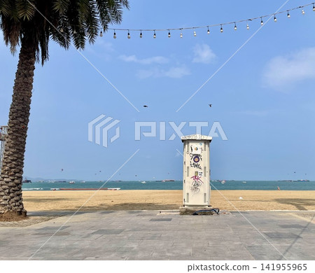 景觀與棕櫚樹 景觀與棕櫚樹 141955965