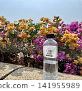 用鮮花的風景 141955989