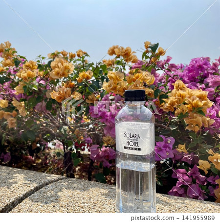 用鮮花的風景 用鮮花的風景 141955989