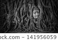 Buddha Head in Wat Mahathat Temple, Ayutthaya 141956059