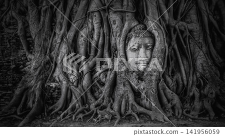 Buddha Head in Wat Mahathat Temple, Ayutthaya Buddha Head in Wat Mahathat Temple, Ayutthaya 141956059