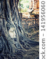 Buddha Head in Wat Mahathat Temple, Ayutthaya 141956060