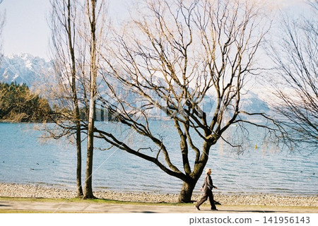 A person strolling among the trees on the shores of Lake Queenstown, New Zealand. A person strolling among the trees on the shores of Lake Queenstown, New Zealand. 141956143