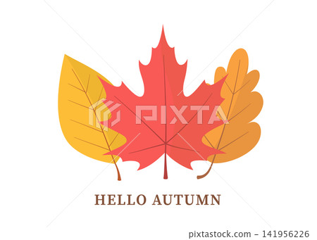 Hello Autumn Illustration with Three Fall Leaves Hello Autumn Illustration with Three Fall Leaves 141956226