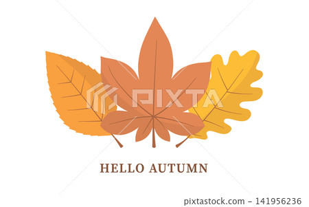 Hello Autumn Illustration with Three Fall Leaves Hello Autumn Illustration with Three Fall Leaves 141956236
