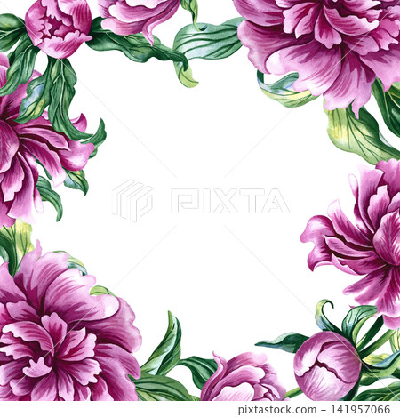 A frame featuring the flowers of a pink peony. A hand drawn watercolor illustration. Ideal for greeting and invitation cards, labels, packaging, certificates, posters, and much more. A frame featuring the flowers of a pink peony. A hand drawn watercolor illustration. Ideal for greeting and invitation cards, labels, packaging, certificates, posters, and much more. 141957066