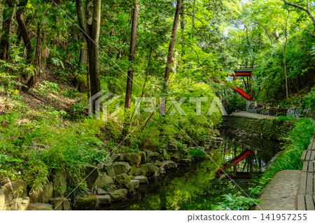 Summer at Todoroki Valley and Golf Bridge ③ Summer at Todoroki Valley and Golf Bridge ③ 141957255