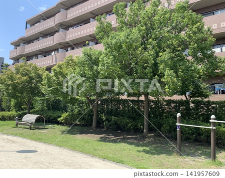公寓大樓旁邊是一個綠樹成蔭的公園。 公寓大樓旁邊是一個綠樹成蔭的公園。 141957609