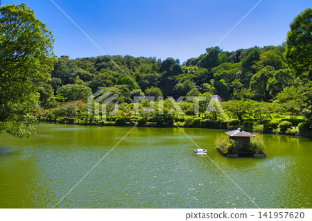 [町田市]夏季藥師池公園 141957620