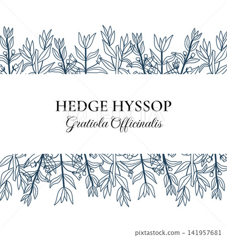 Hedge Hyssop Botanical Border Banner with Text Space Hedge Hyssop Botanical Border Banner with Text Space 141957681
