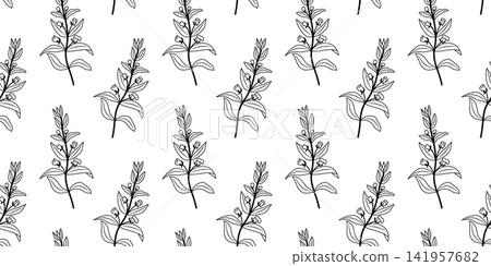Hedge Hyssop Botanical Line Art Seamless Pattern 141957682