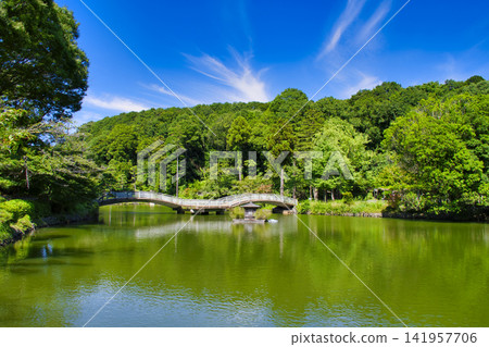 [町田市]夏季藥師池公園 141957706