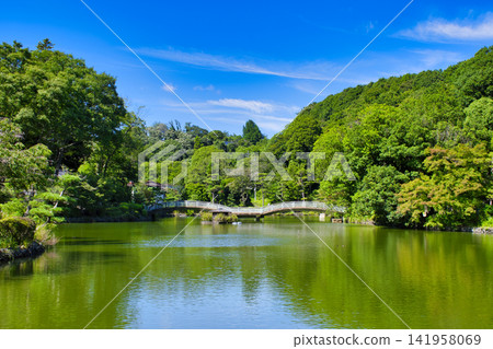 [Machida City] Summer Yakushiike Park 141958069