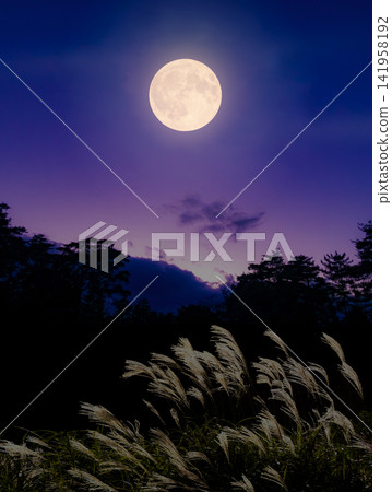 Susuki and the full moon Susuki and the full moon 141958192
