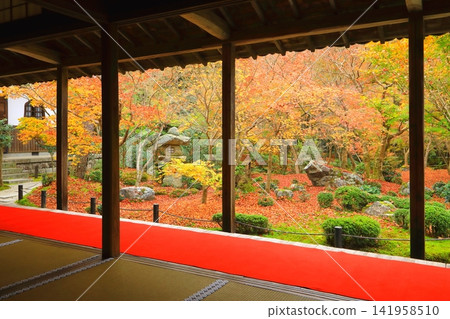 Enkoji Temple Garden in Autumn (Kyoto City) Enkoji Temple Garden in Autumn (Kyoto City) 141958510
