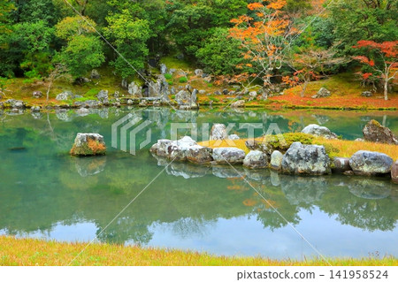 秋季的天龍寺花園(京都市) 秋季的天龍寺花園(京都市) 141958524