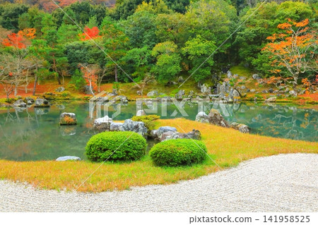 秋季的天龍寺花園（京都市） 141958525