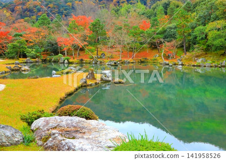 秋季的天龍寺花園(京都市) 秋季的天龍寺花園(京都市) 141958526