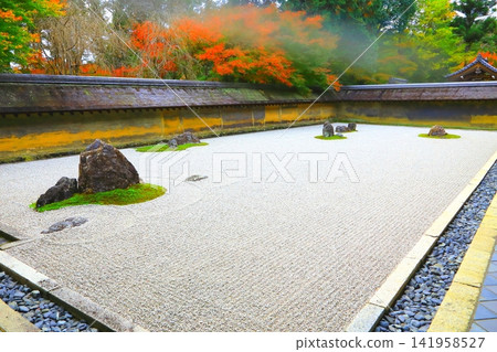 Ryoanji Rock Garden in Autumn (Kyoto City) Ryoanji Rock Garden in Autumn (Kyoto City) 141958527