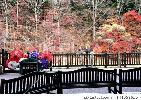 Autumn leaves along the Hoki River in Nasushiobara City, Tochigi Prefecture, with the Shiobara Monogatari Museum terrace and a Japanese umbrella. Autumn leaves along the Hoki River in Nasushiobara City, Tochigi Prefecture, with the Shiobara Monogatari Museum terrace and a Japanese umbrella. 141958619