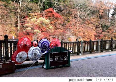 栃木縣那須鹽原市保木川沿岸的秋葉,以及鹽原物語博物館的露台和一把日式雨傘。 栃木縣那須鹽原市保木川沿岸的秋葉,以及鹽原物語博物館的露台和一把日式雨傘。 141958624