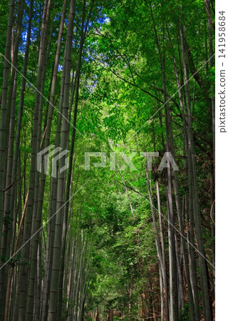 [Former JNR Kurayoshi Line Taikyuji Station Site] 141958684