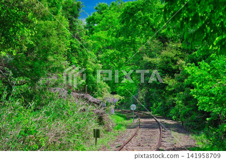 [Former JNR Kurayoshi Line Taikyuji Station Site] 141958709