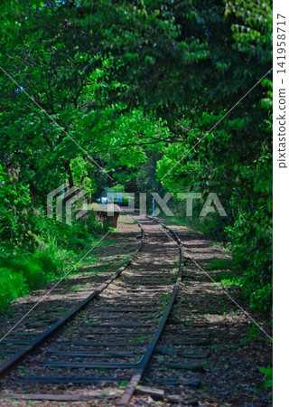 [Former JNR Kurayoshi Line Taikyuji Station Site] 141958717