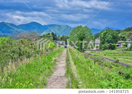 [Former JNR Kurayoshi Line Taikyuji Station Site] 141958725