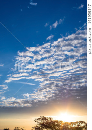 晨曦與積雲 晨曦與積雲 141959347