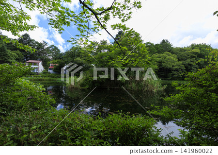 輕井澤町熊場池的夏日風光 輕井澤町熊場池的夏日風光 141960022