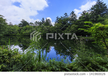 輕井澤町熊場池的夏日風光 輕井澤町熊場池的夏日風光 141960026