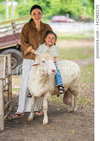 happy preschool child girl riding a sheep with mother beside in outdoor farm happy preschool child girl riding a sheep with mother beside in outdoor farm 141960272