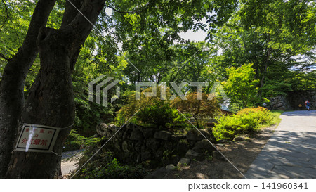 小諸城遺址在盛夏 小諸城遺址在盛夏 141960341