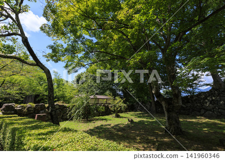Komoro Castle Ruins in Midsummer Komoro Castle Ruins in Midsummer 141960346