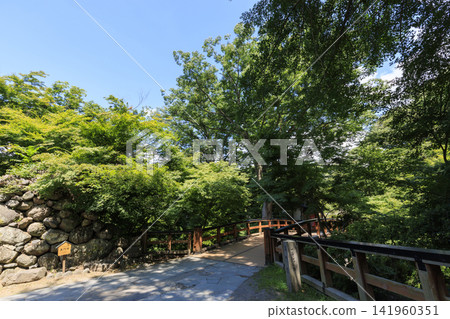 小諸城遺址在盛夏 小諸城遺址在盛夏 141960351