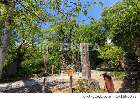 小諸城遺址在盛夏 小諸城遺址在盛夏 141960353