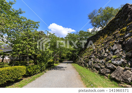 小諸城遺址在盛夏 小諸城遺址在盛夏 141960371