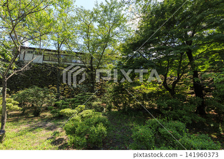 小諸城遺址在盛夏 141960373