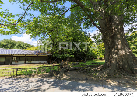小諸城遺址在盛夏 小諸城遺址在盛夏 141960374
