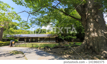 小諸城遺址在盛夏 小諸城遺址在盛夏 141960375