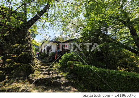 小諸城遺址在盛夏 小諸城遺址在盛夏 141960376