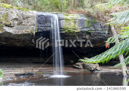 Kalimna Falls along Cumberland River trek, Great Ocean Road, Australia Kalimna Falls along Cumberland River trek, Great Ocean Road, Australia 141960390