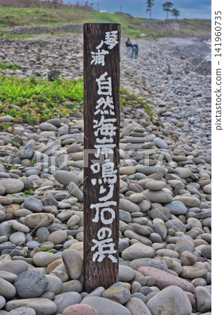 [成石海灘] 鳥取縣東伯郡琴浦 141960735